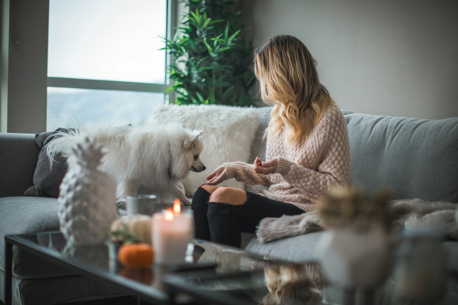 woman sitting on sofa while holding food for dog: Pet Therapy