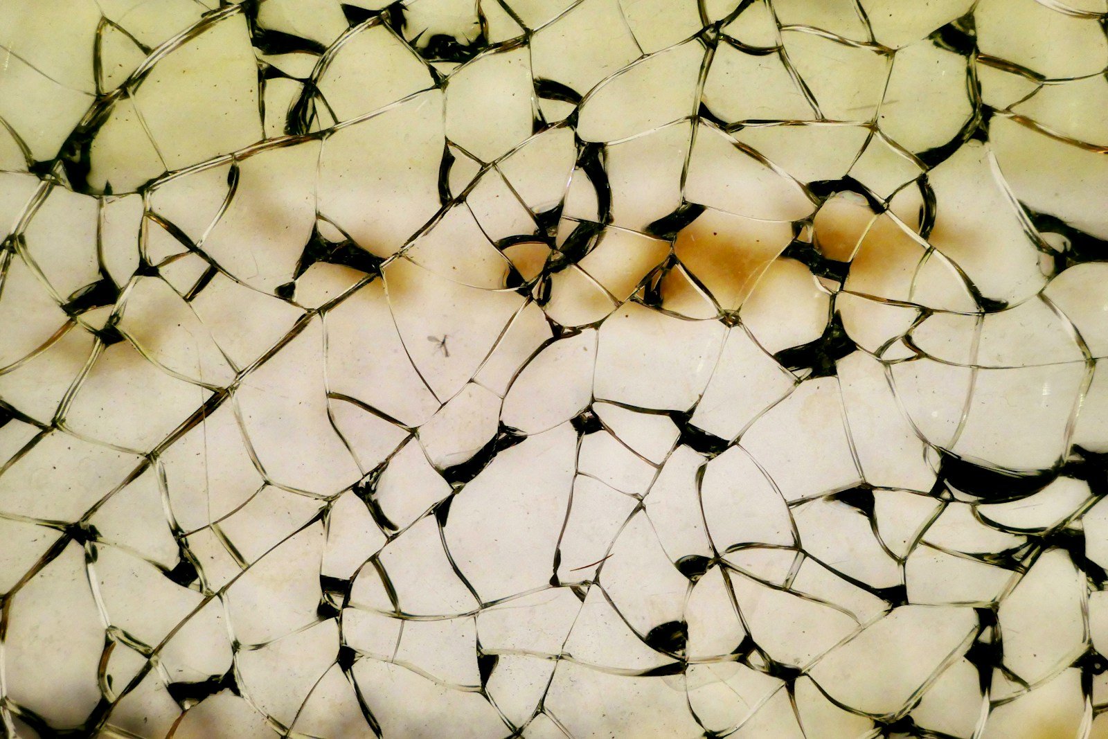 Wounds Decoded: Mending the Broken Pieces