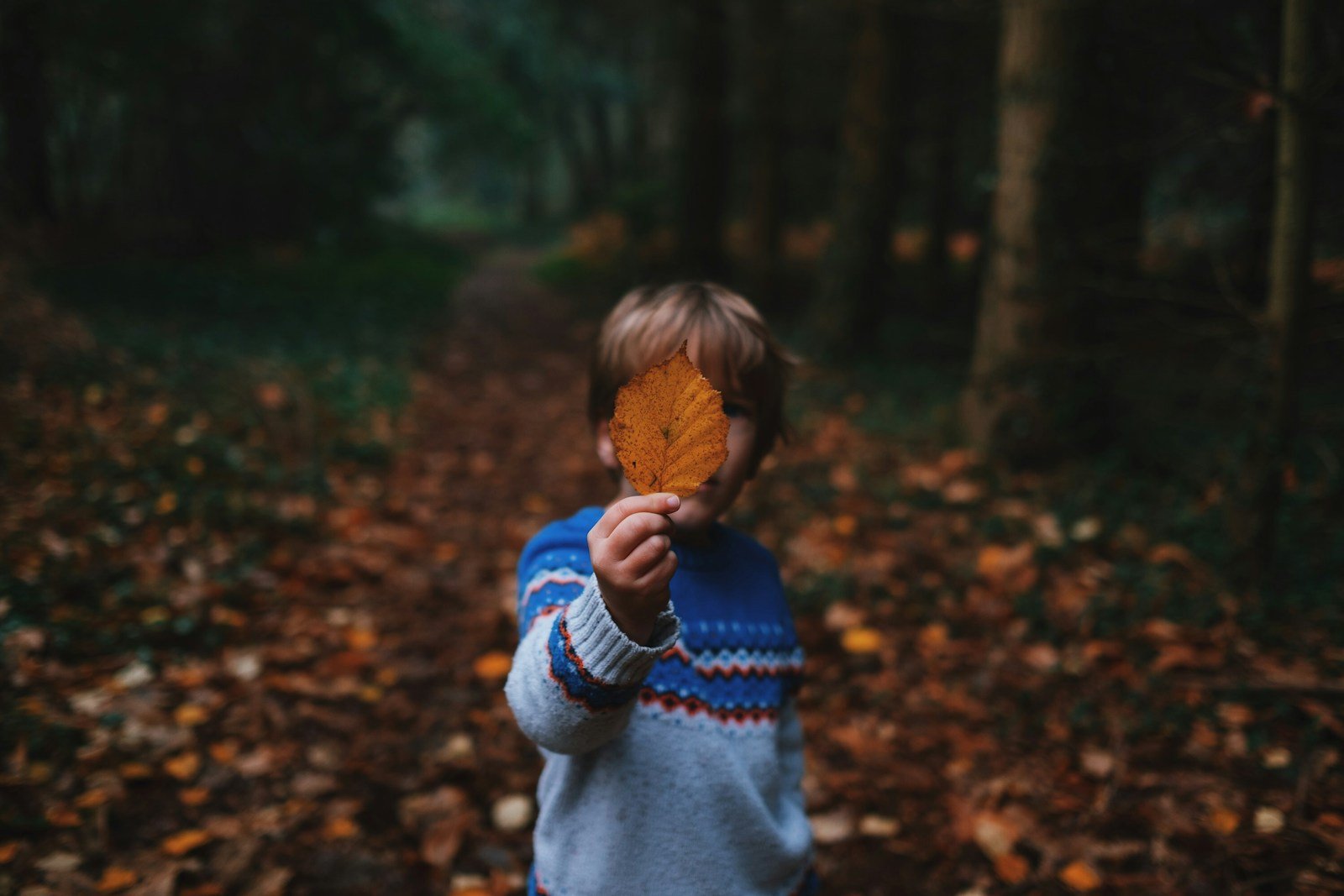 boy holding brown leaf covering his face : Navigating Hope: Developmental Disorders Counseling in Joliet